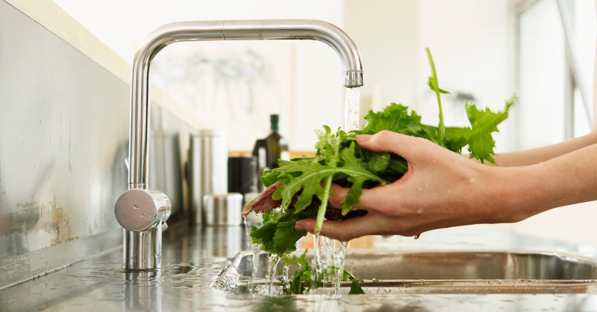 A person cleaning lettuce with tap water. 