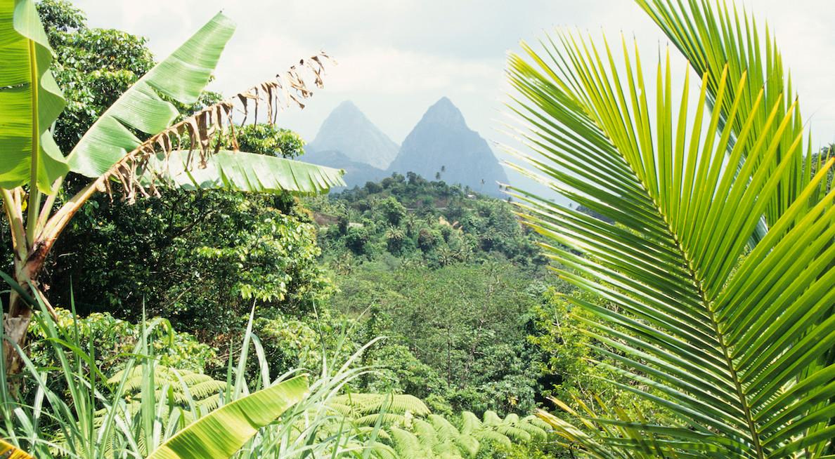 st lucia pitons