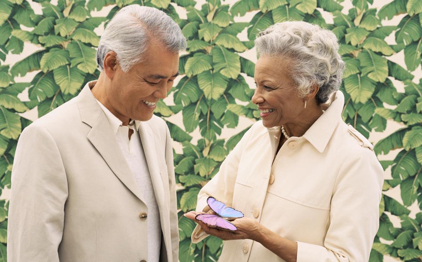 What It Means When a Butterfly Lands on You Spiritual Interpretations