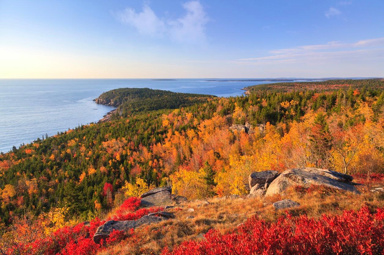 Fall Foliage in Maine