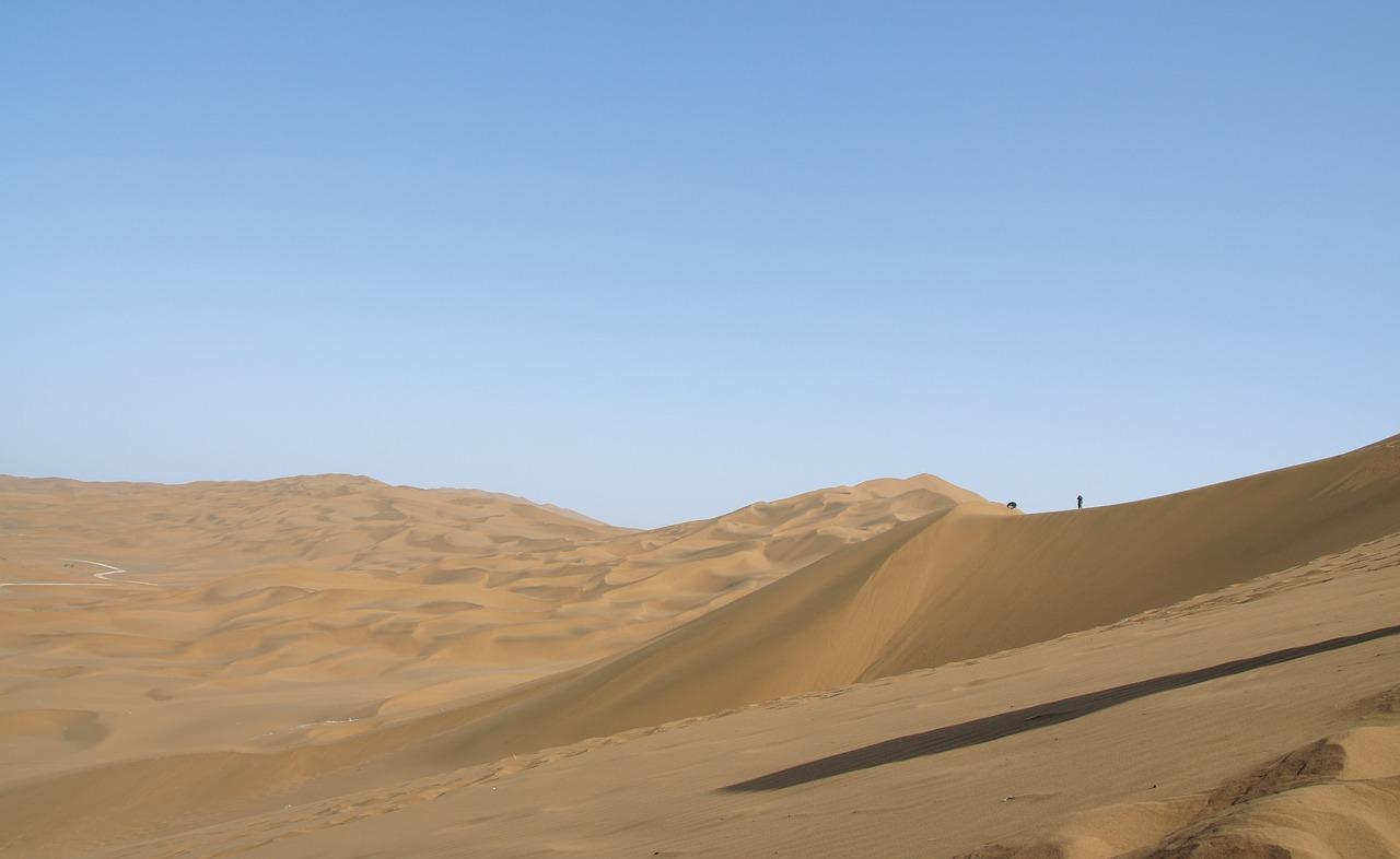 China Researchers Find Way To Transform Deserts Into Fertile Land