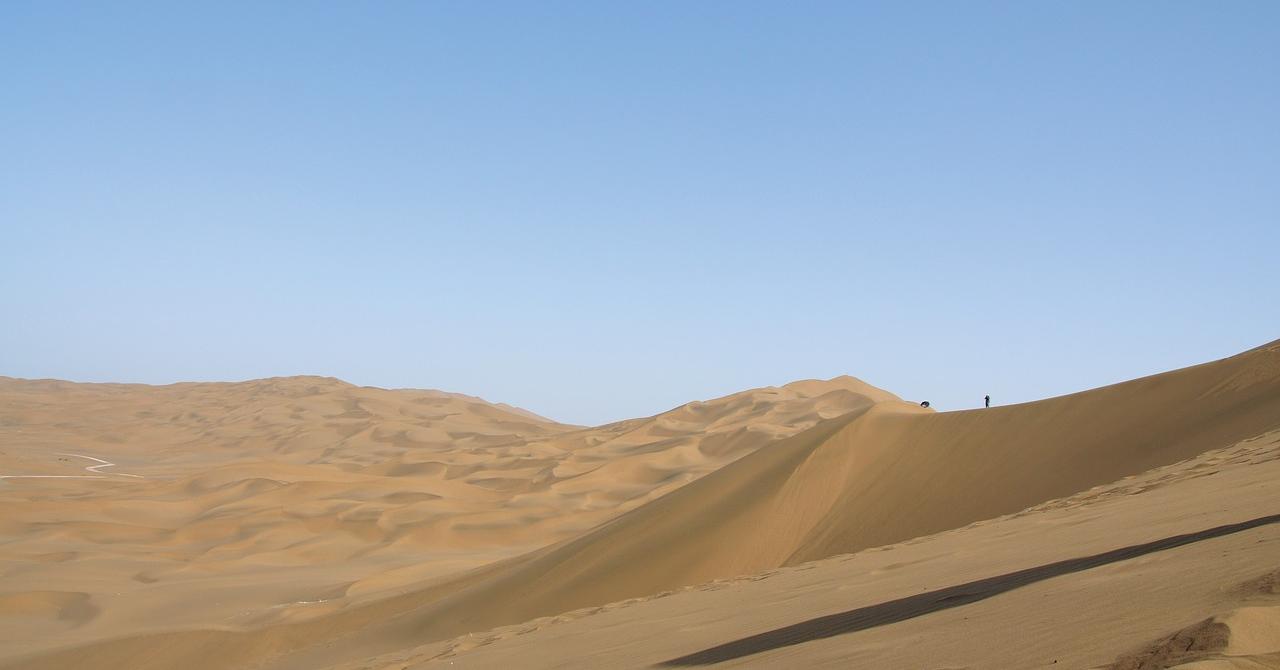 China Researchers Find Way To Transform Deserts Into Fertile Land