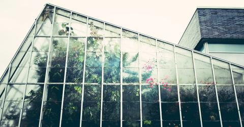 greenhouse _