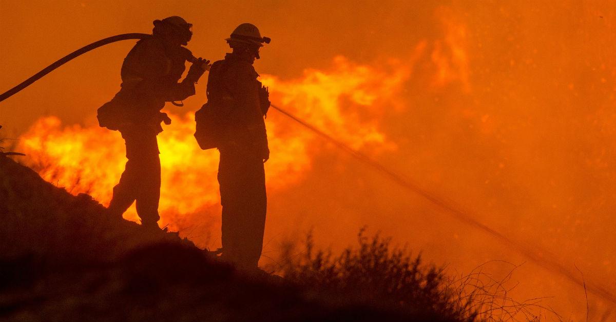 forest fire firefighters