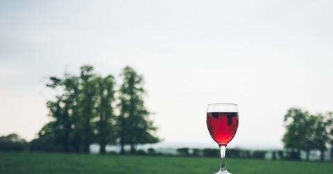 rsz_stocksnap_ttrkwxs