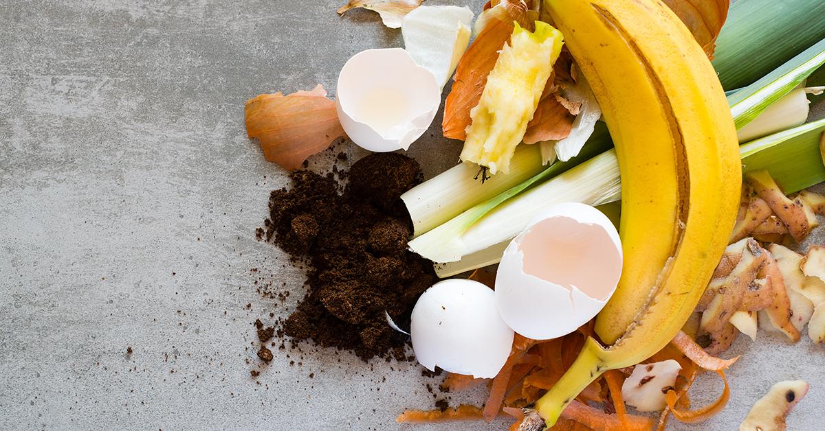 What Is Composting?