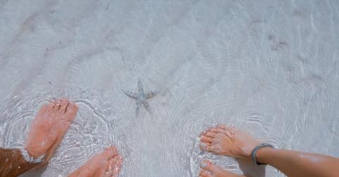 rsz_stocksnap_sutrfsj