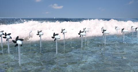 Turbinesatcoralreefs