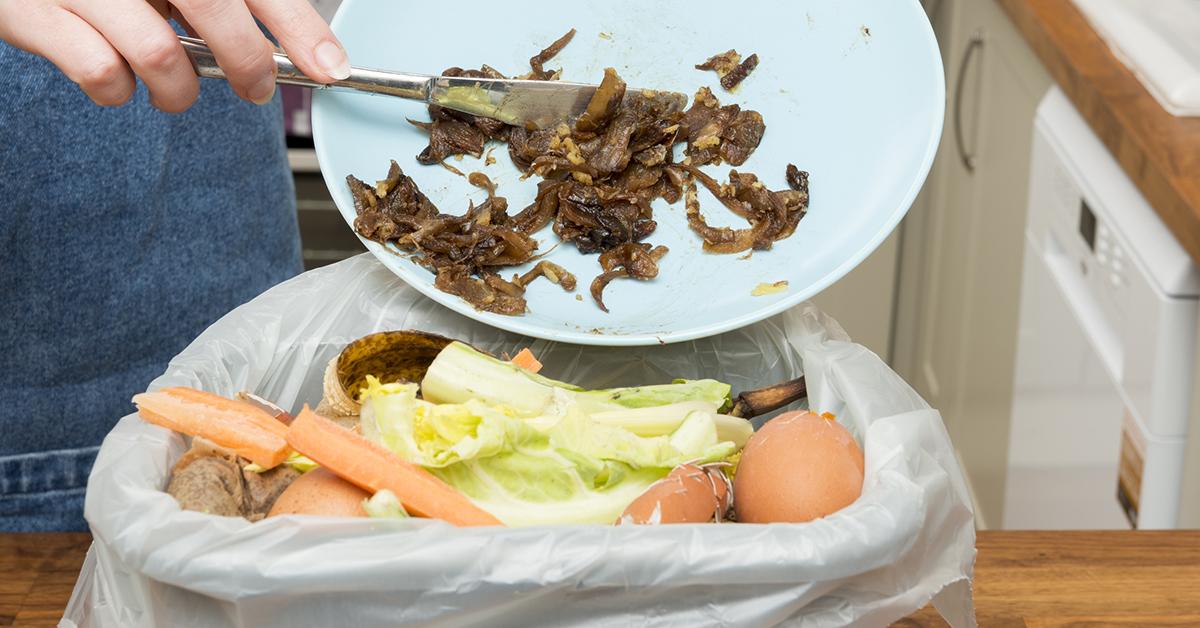 fight food waste