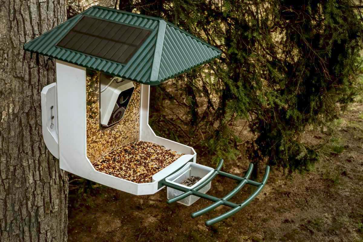 pn/aafa fd bb af accfd