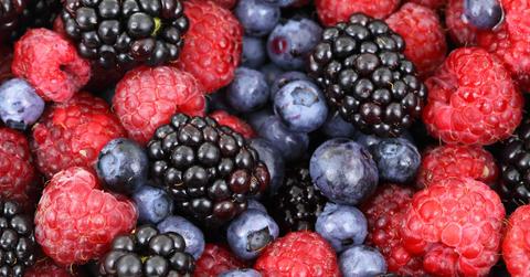 Studies from the Indian Institute of Technology in Roorkee have shown that the jambul berries' pigment can absorb a large amount of sunlight. This could aid in India's energy crisis, as well as bring the heavy cost of solar panels down.