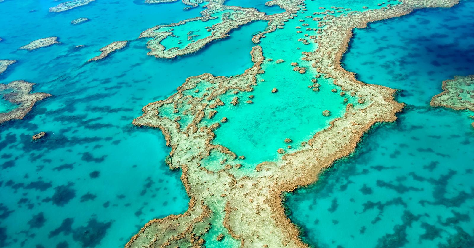 GreatBarrierReef