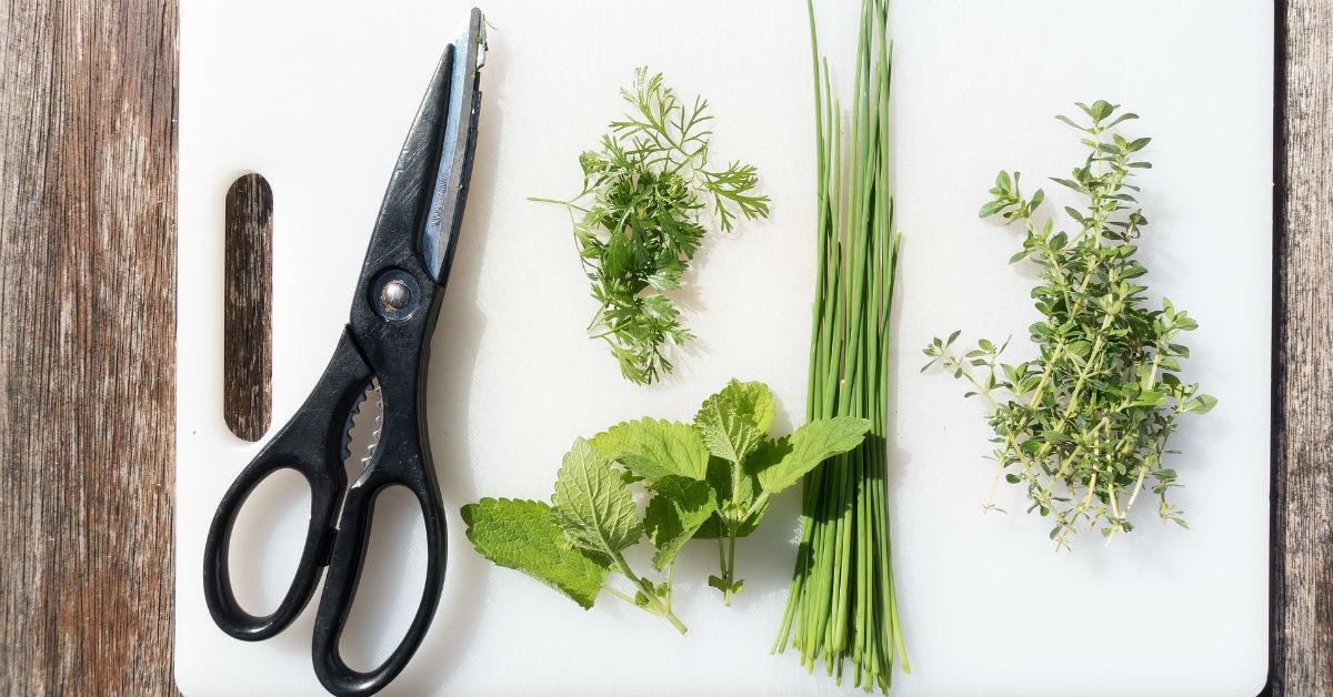 herbs on cutting board