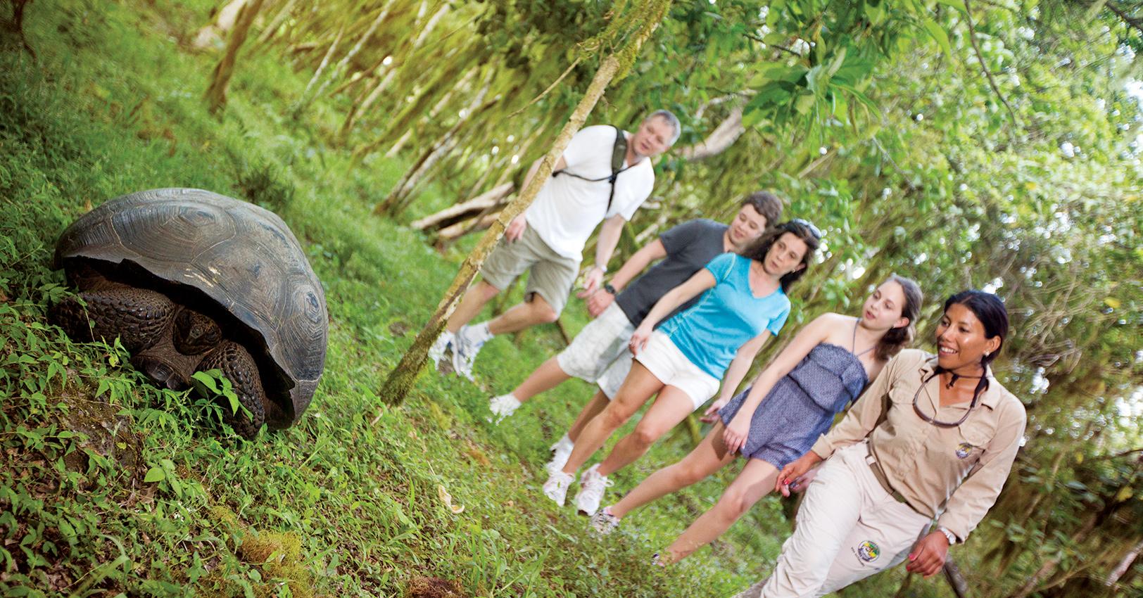 GAdventures EcuadorGalapagos TortoiseTravellers HobbinsFamilyCEO