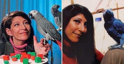 Animal psychologist and scientist Dr. Irene Pepperberg is training parrots in intelligent learning methods. (Cover Image Source: Instagram | @thealexfoundation)
