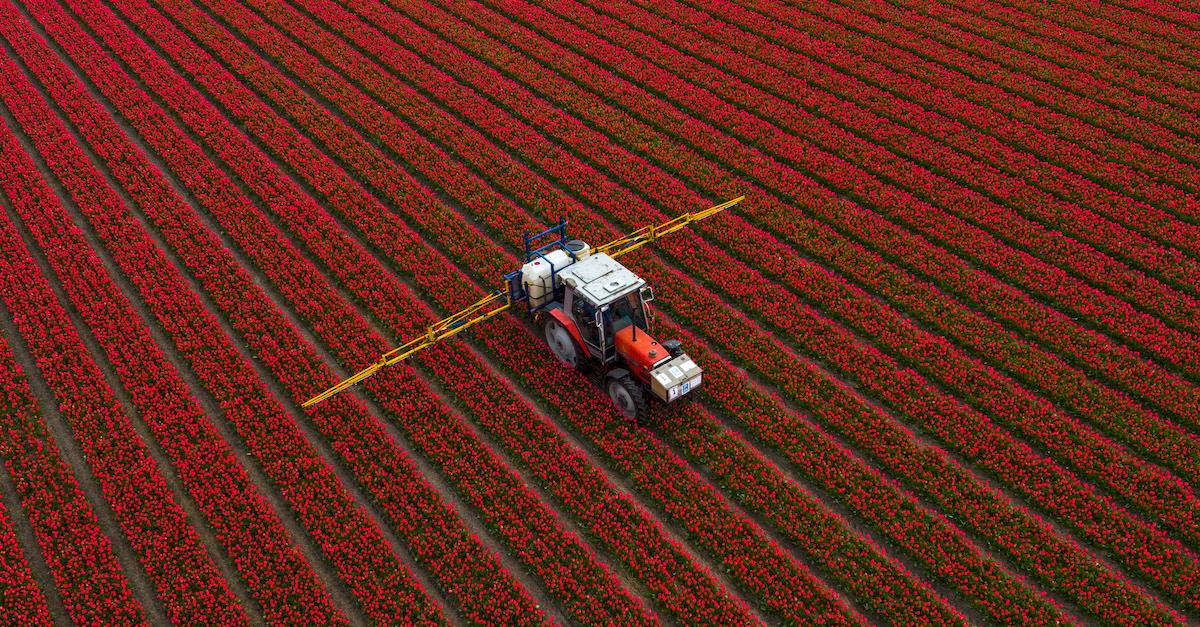 Holland 2021