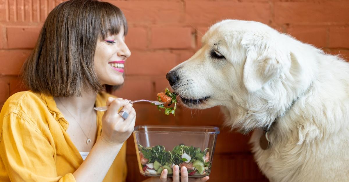 Woman feeding a dog vegetables. 