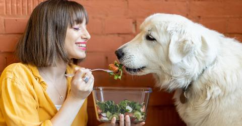 Woman feeding a dog vegetables.