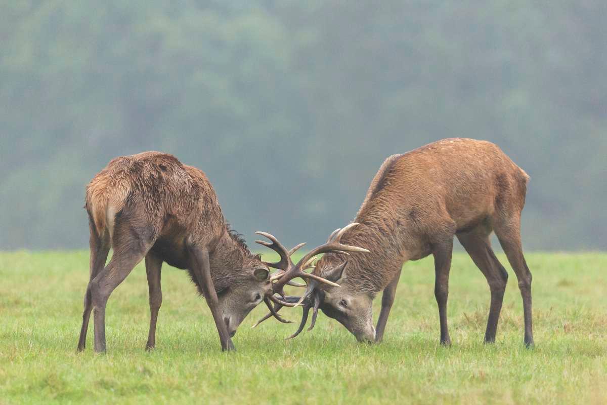 pn/fbbe e b b aaaefc