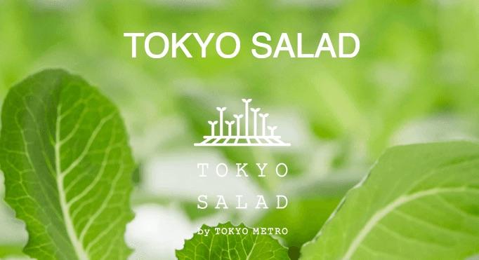 Toyko Salad