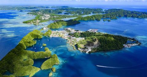 Think PIoM Palau Norimoto copy