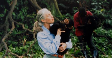 Jane Goodall
