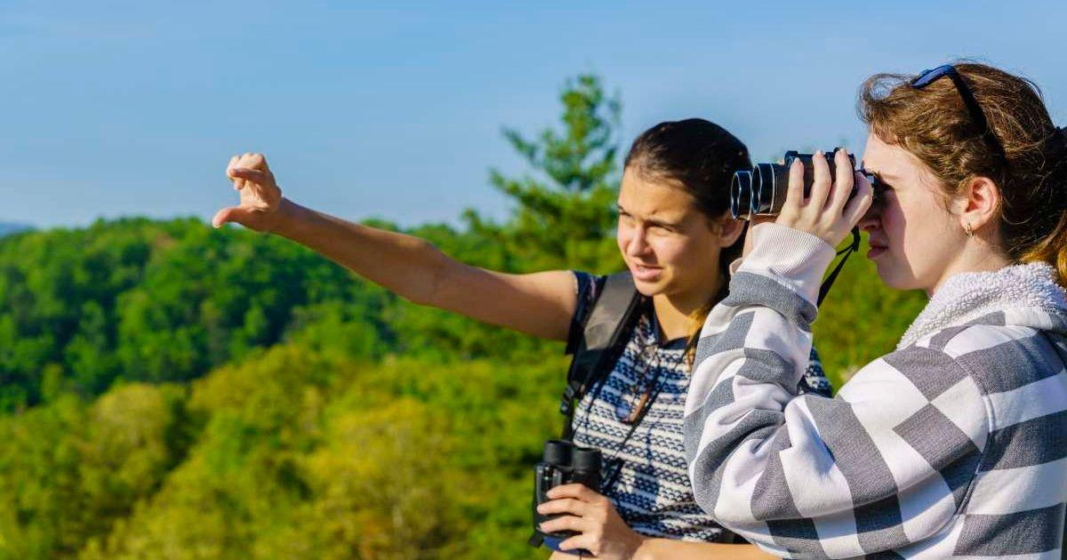 Visitors enjoying the sunlit views of Great Smoky Mountains National Park (Representative Cover Image Source: Getty Images | Alex Potemkin)