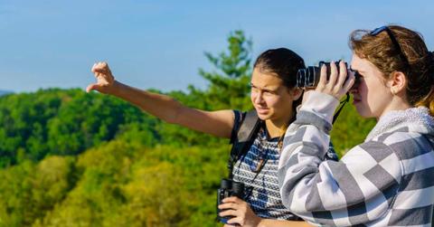 Visitors enjoying the sunlit views of Great Smoky Mountains National Park (Representative Cover Image Source: Getty Images | Alex Potemkin)