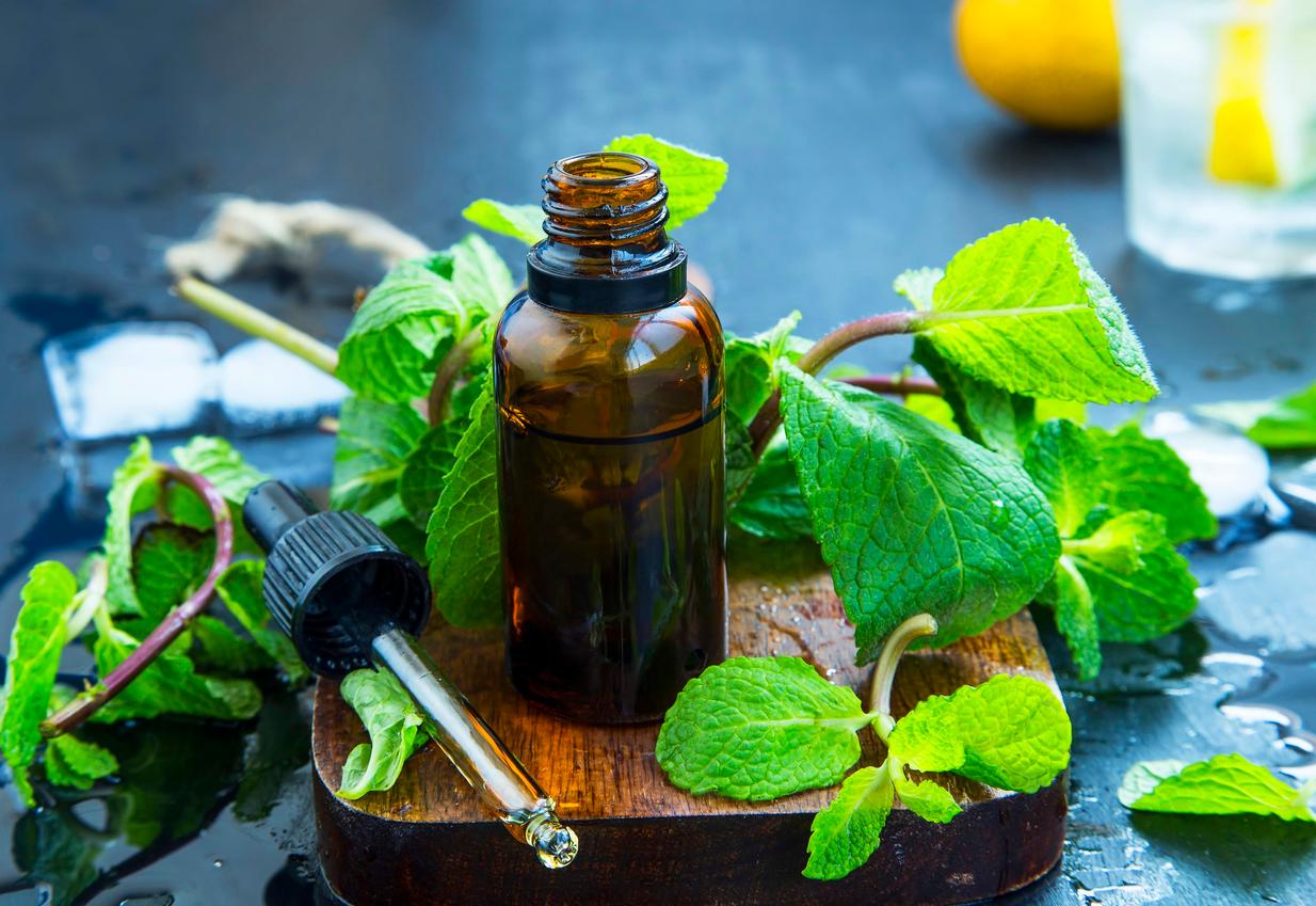 Peppermint oil in a small bottle surrounded by a dropper and a peppermint plant