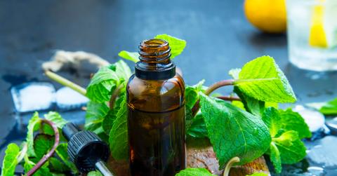 Peppermint oil in a small bottle surrounded by a dropper and a peppermint plant