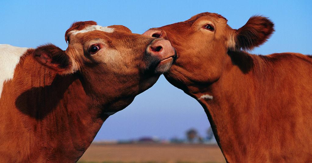 Why Is PVC Bad for the Environment? Here's What You Should Know