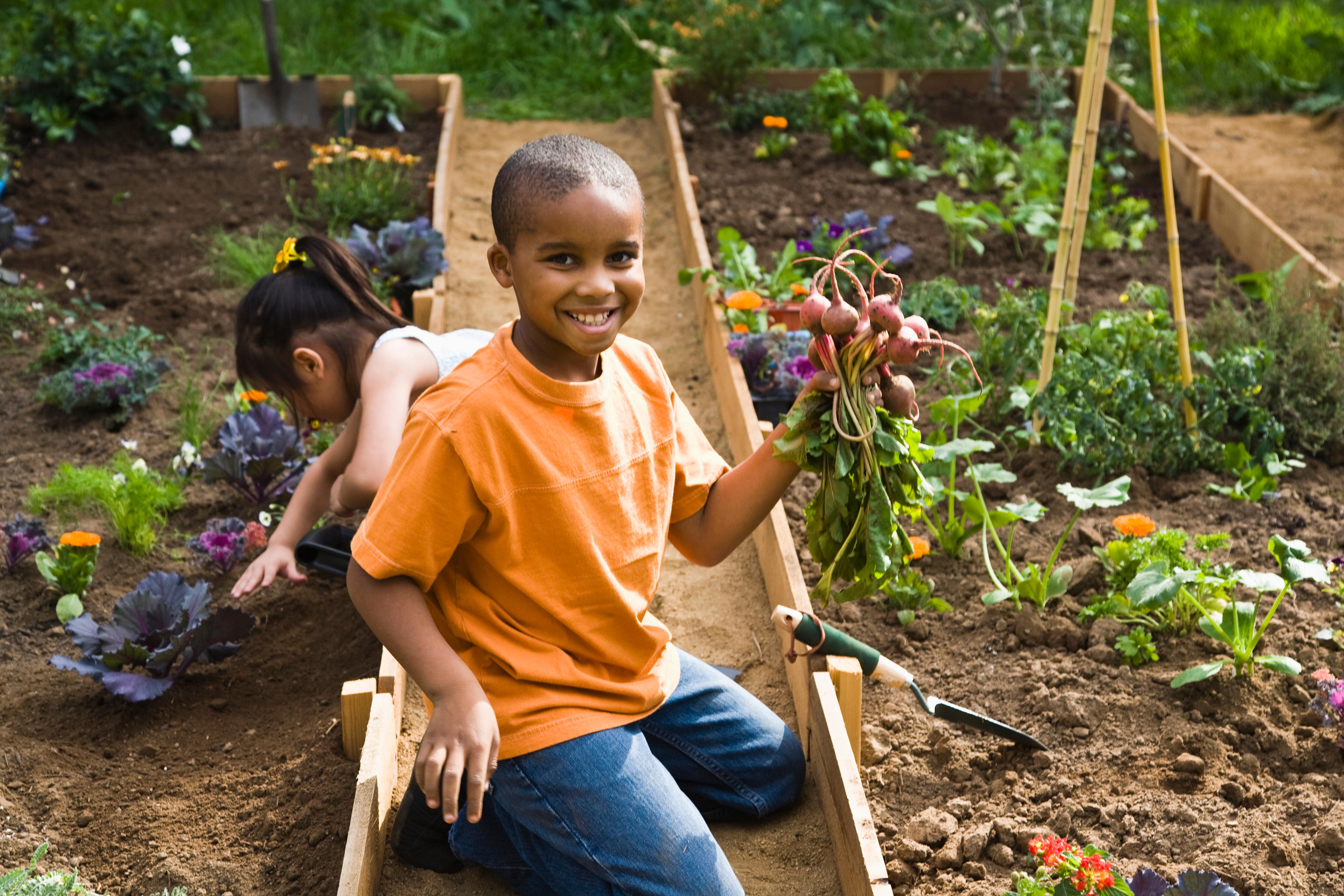 how to start urban gardening what to buy