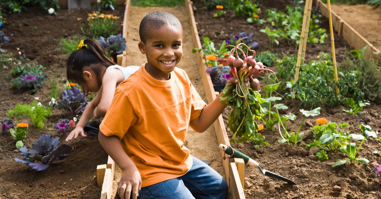 How to Start Urban Gardening, If You're Living the City Life