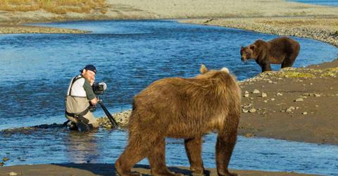 A man is taking a photograph of grizzly bears. (Representative Cover Image Source: Getty Images | Paul Souders)