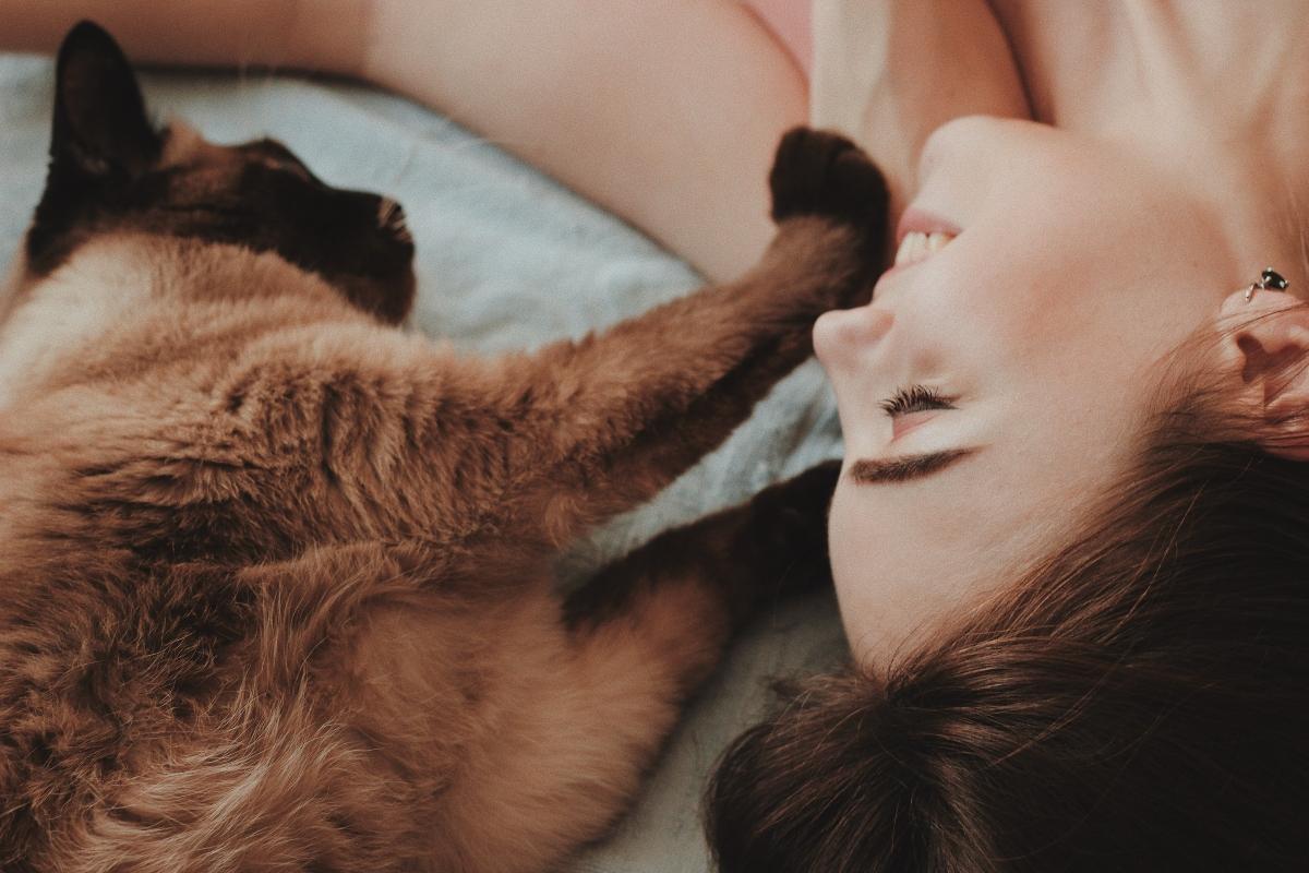 Siamese cat playing with woman owner.