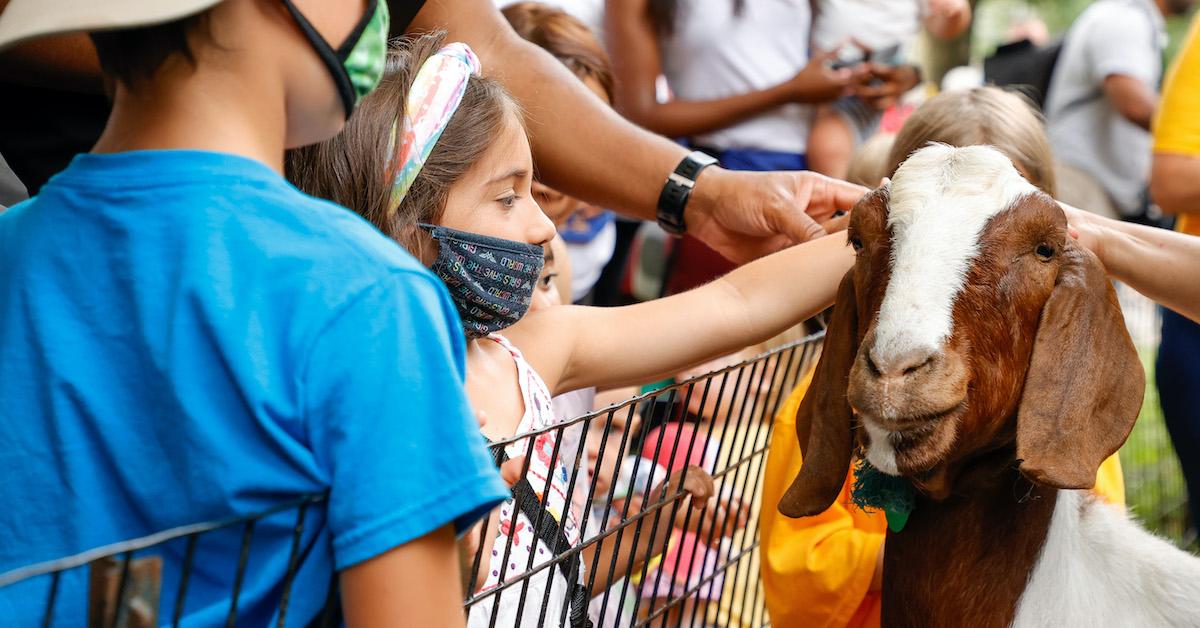 running of the goats riverside park