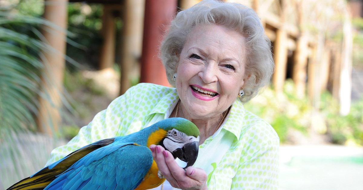 Betty White Animal Charities