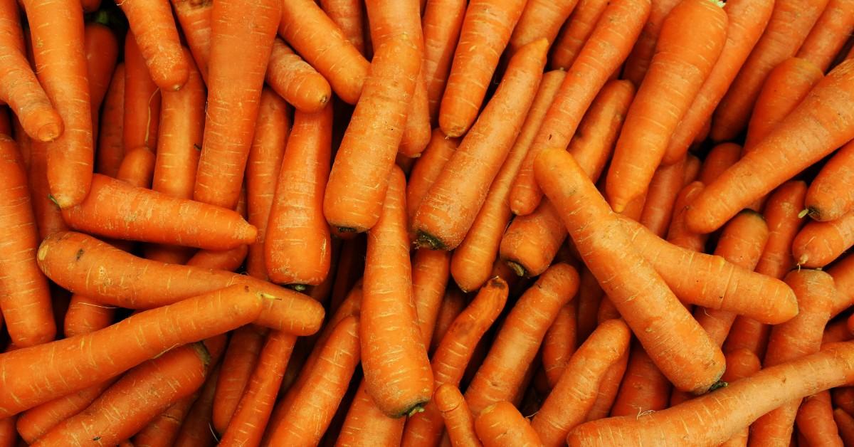 Whole carrots missing their leafy tops lay in a pile