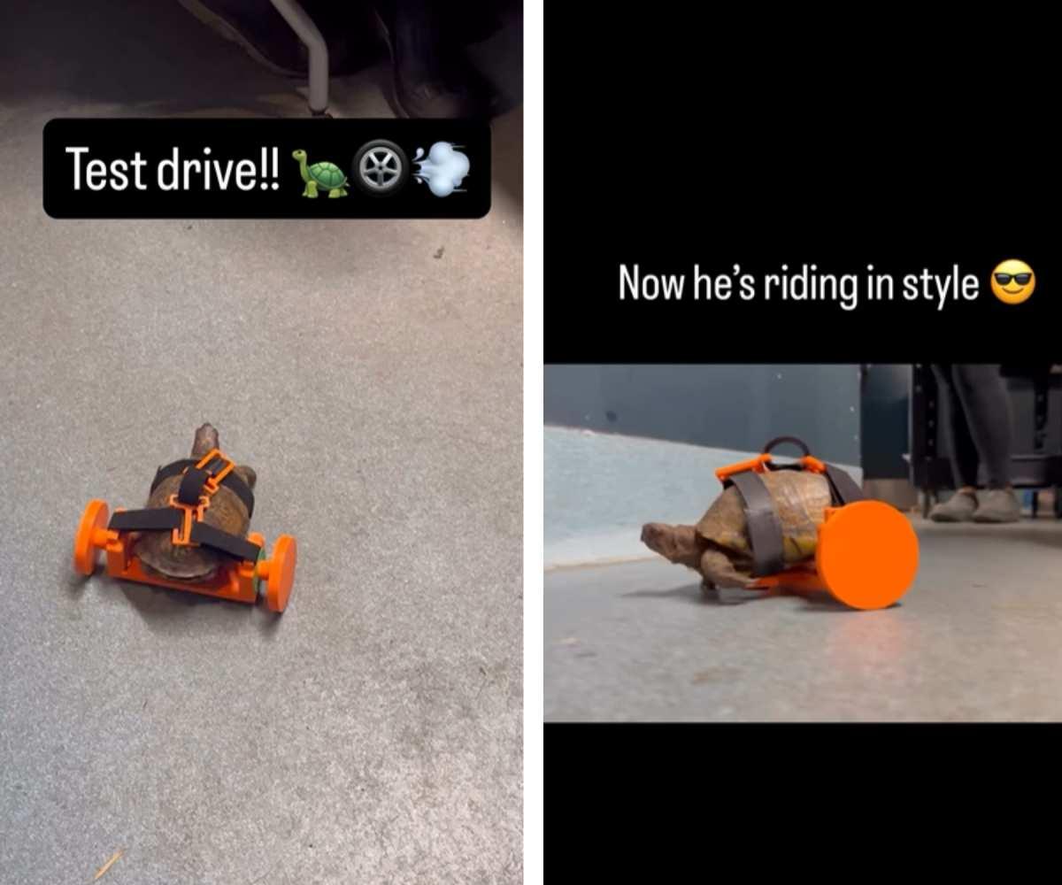 pn/eb f c afdd aeecea