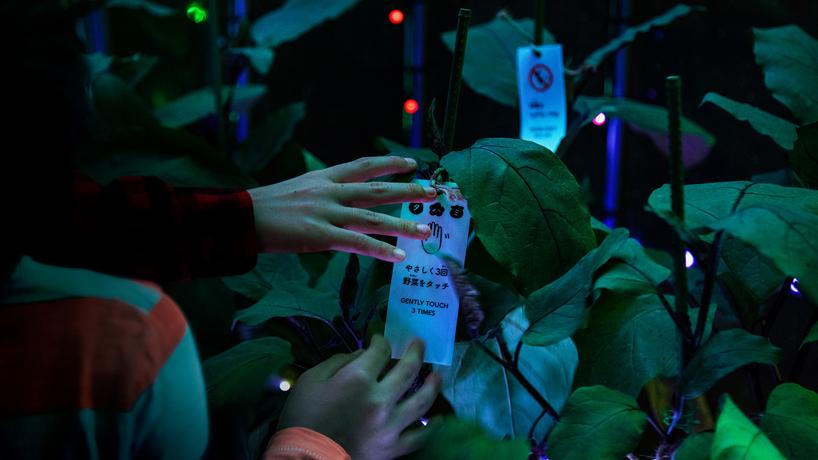 party digital vegetables greenhouse tokyo designboom