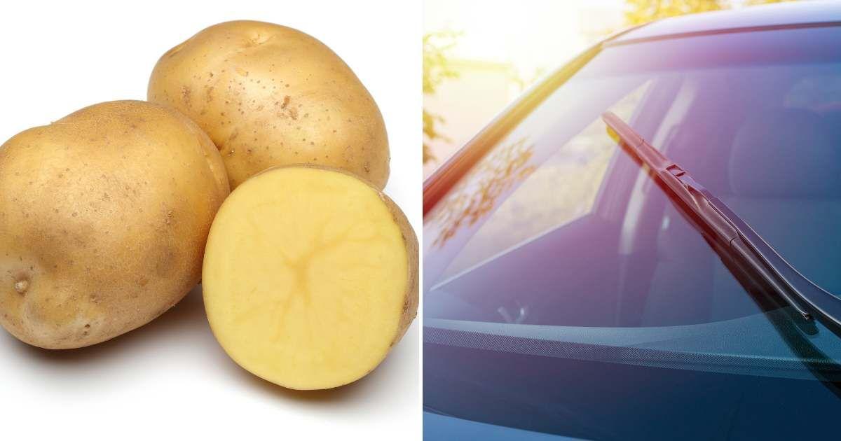 (L) A potato sliced in half with whole potatoes. (R) Close-up of a car's windshield with wipers. (Representative Cover Image Source: Getty Images | (L) Kaanates, (R) Art_rich)