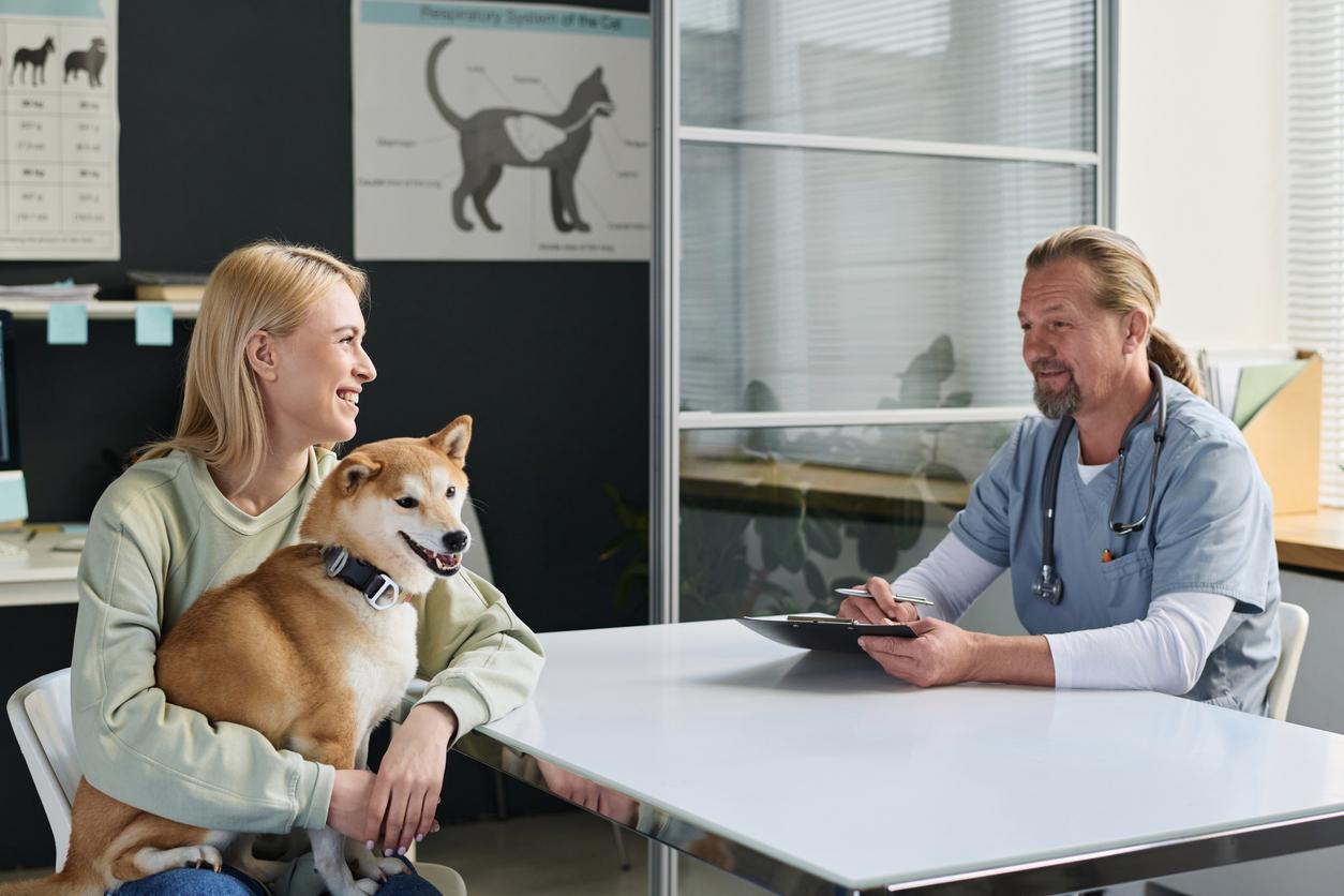 A veterinarian sits at a table and discusses a dog's health with the dog's smiling human caregiver.