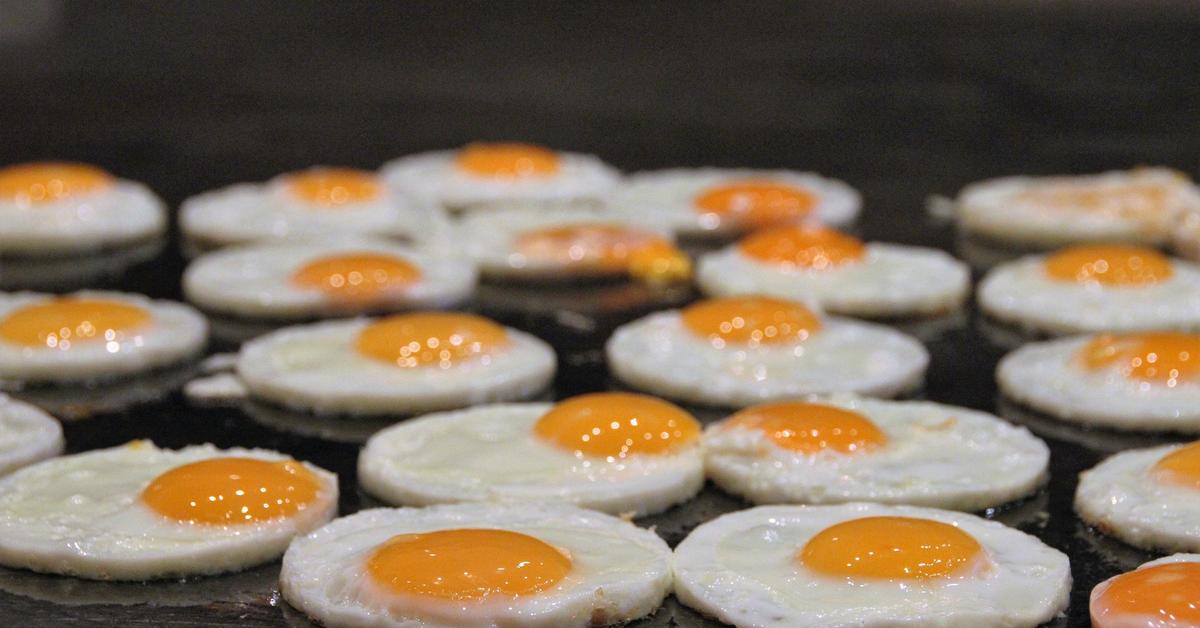 The real difference between store bought and backyard chicken eggs