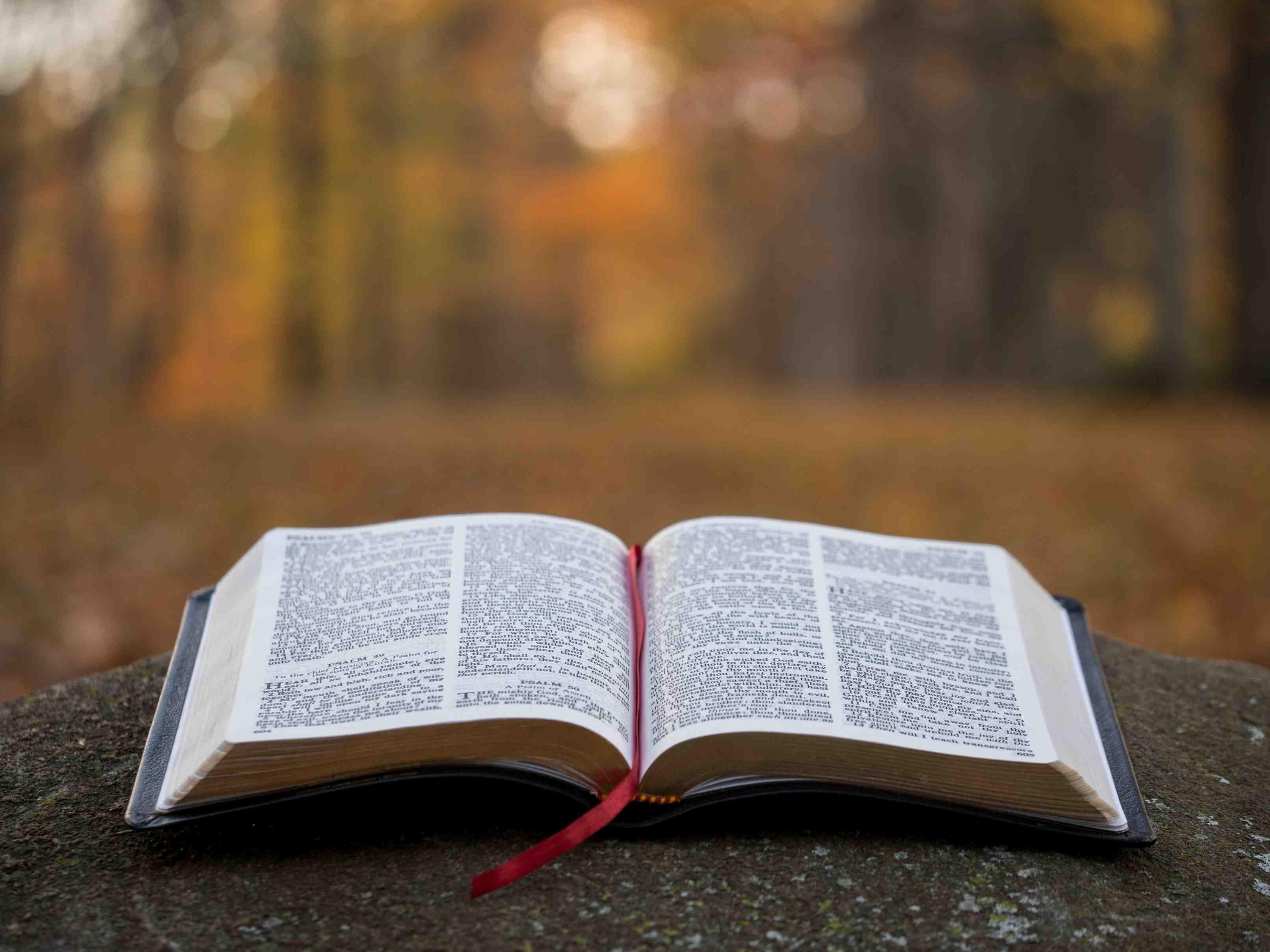 An open bible is pictured inside the woods on an Autumn day.
