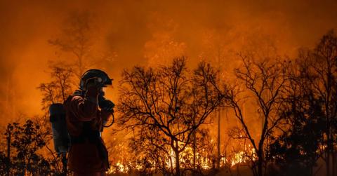 Wildfire erupting in Colorado (Representative Cover Image Source: Getty Images | TOA55)