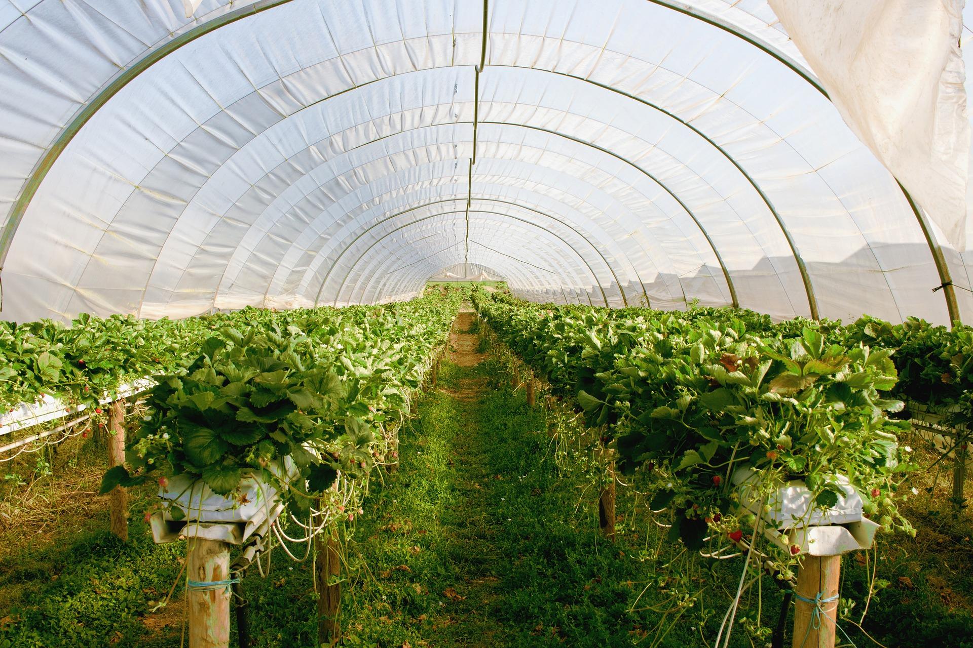 Vertical farming is getting a boost from Silicon Valley