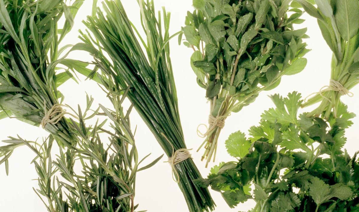 Bunches of common herbs