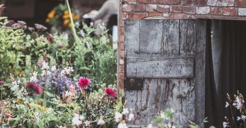 annie spratt unsplash