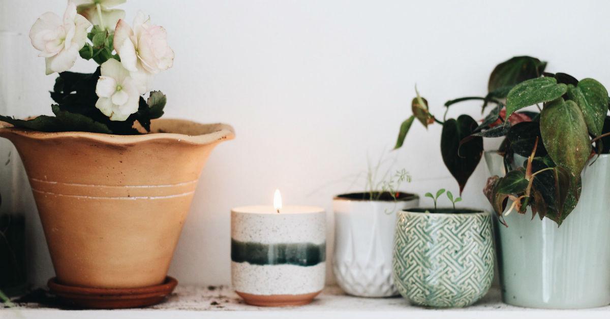 The Hyggelight Candle Doubles As a Wildflower Planter To Reduce