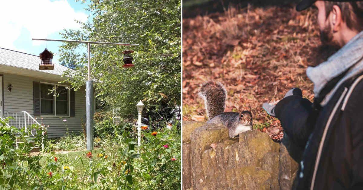 (L) a PVC piping around the bird feeder pole (Cover Image Source: Reddit | u/Ancient72) (R) Squirrel attempting to enter a garden (Representative Cover Image Source: Pexels | Boys in Bristol Photography)